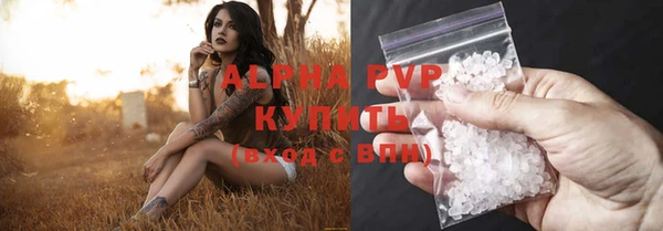ECSTASY Инсар