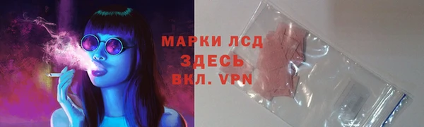 ECSTASY Инсар