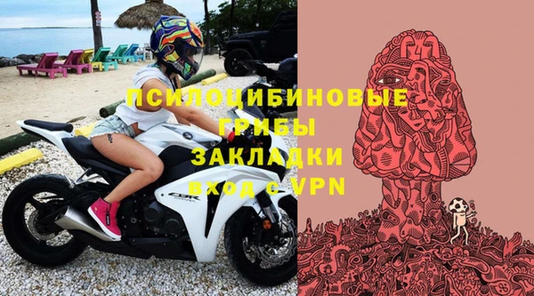 ECSTASY Инсар